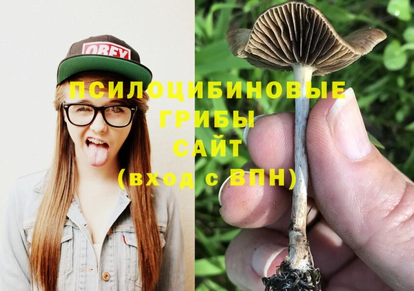соль курить ск Переславль-Залесский