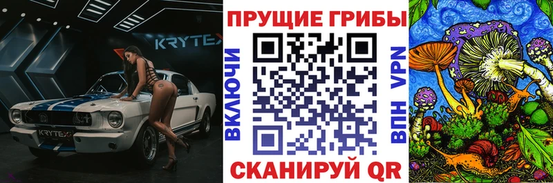 маркетплейс официальный сайт  что такое наркотик  blacksprut ссылки  Краснознаменск  Псилоцибиновые грибы Psilocybine cubensis 